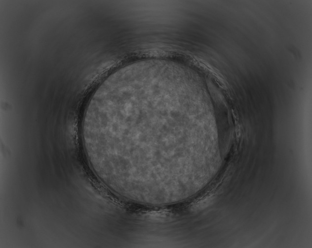 X0000090490306200708031152