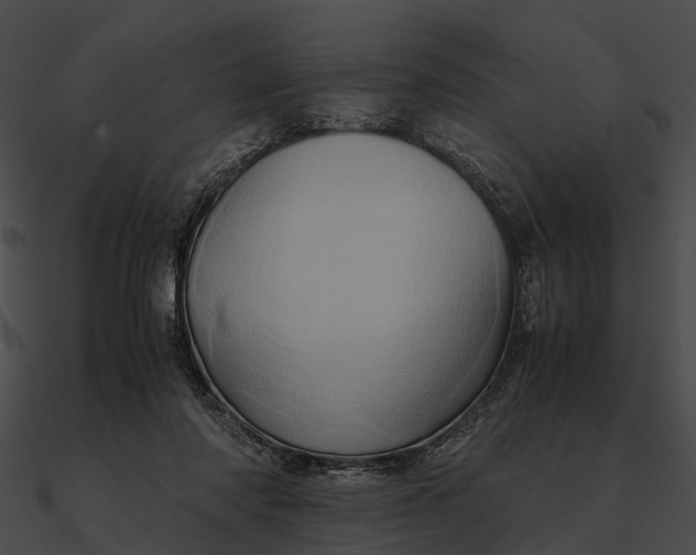 X0000090490310200708031152