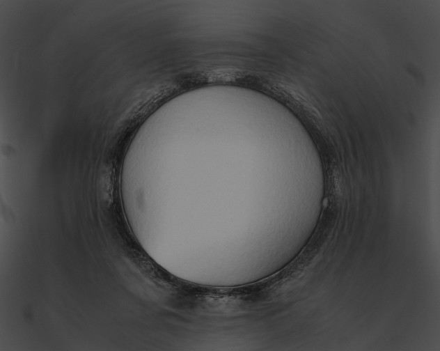 X0000090490311200708031152