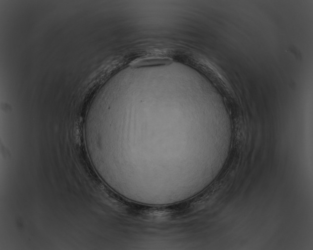 X0000090490313200708031152