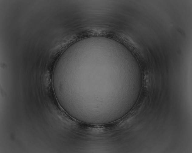 X0000090490318200708031152