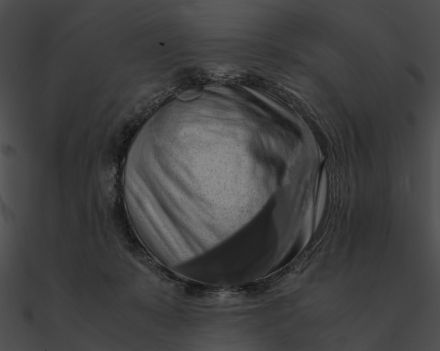 X0000090490319200708031152