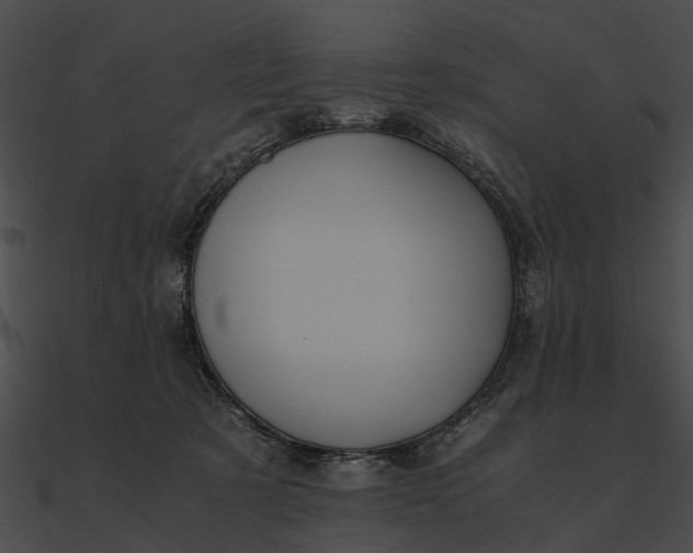 X0000090490321200708031152