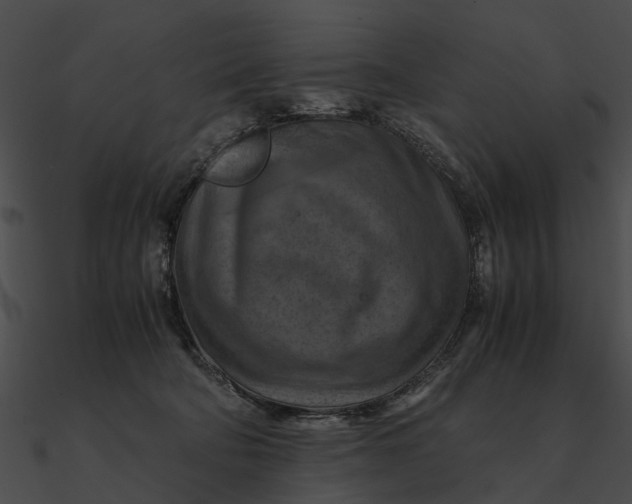 X0000090490322200708031152