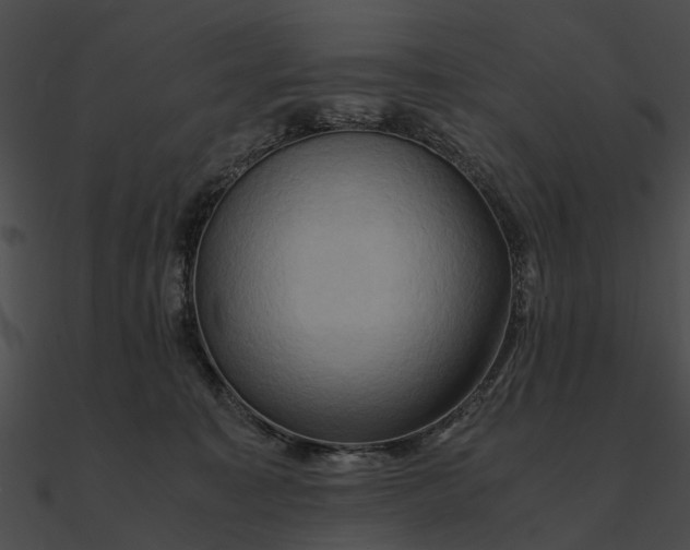 X0000090490323200708031152