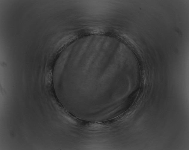 X0000090490325200708031152