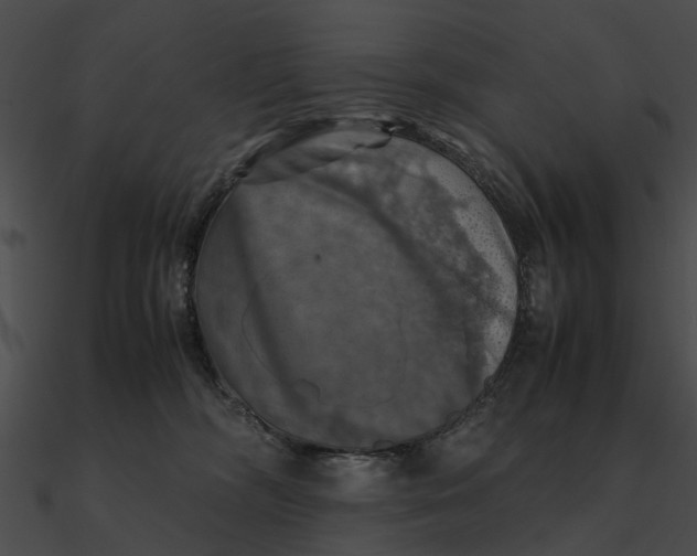 X0000090490326200708031152