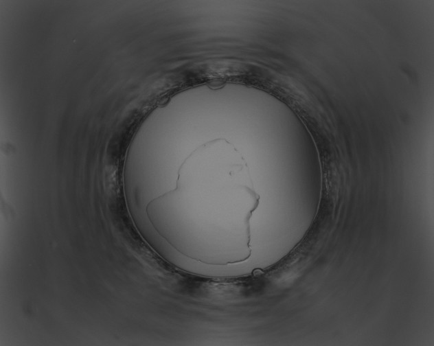 X0000090490327200708031152