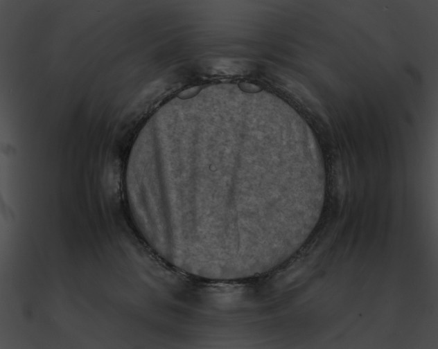 X0000090490328200708031152