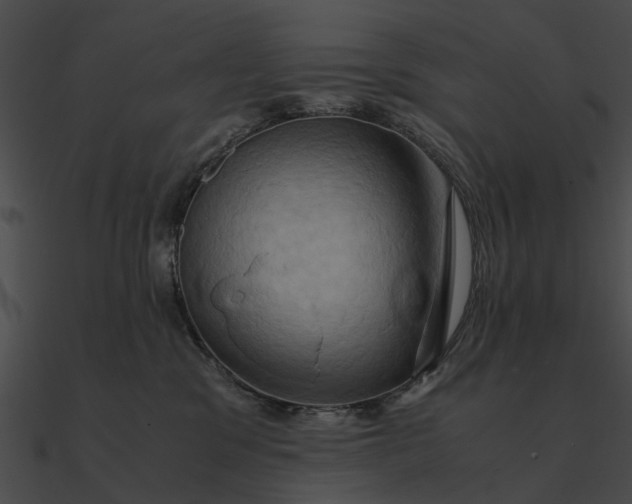 X0000090490329200708031152