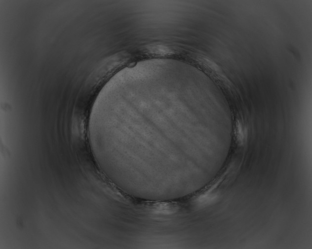 X0000090490330200708031152