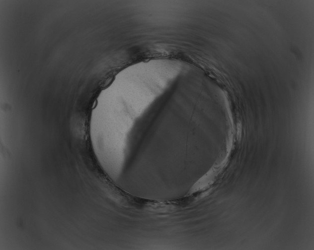 X0000090490331200708031152