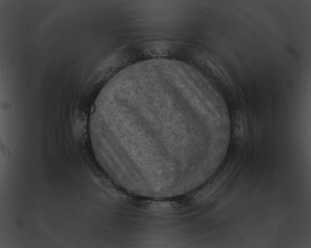 X0000090490332200708031152