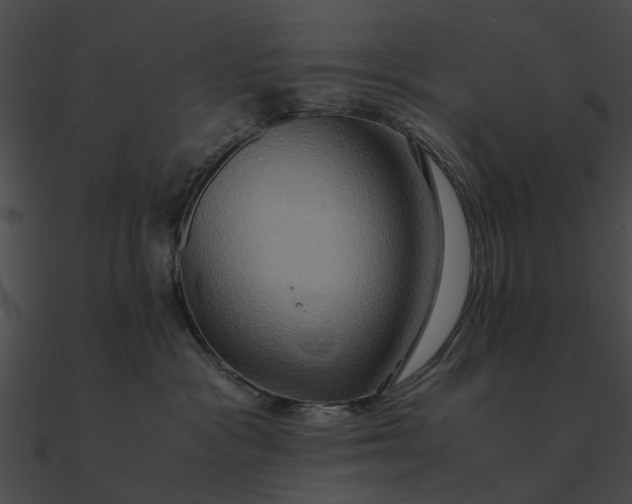 X0000090490333200708031152