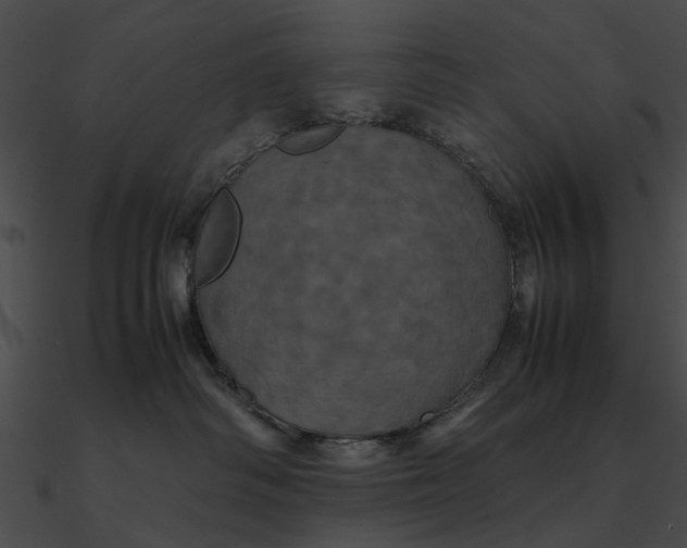 X0000090490334200708031152