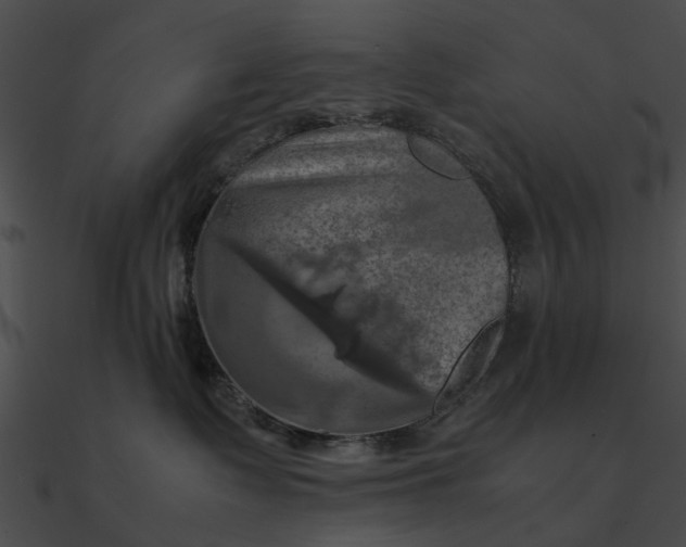 X0000090490335200708031152