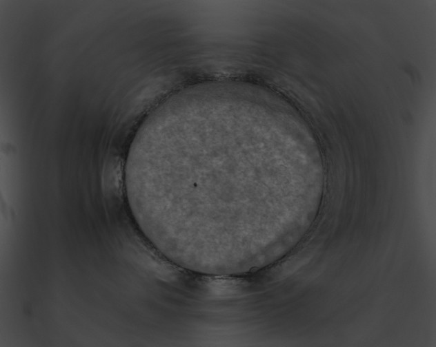 X0000090490336200708031152