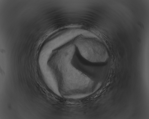 X0000090490337200708031151