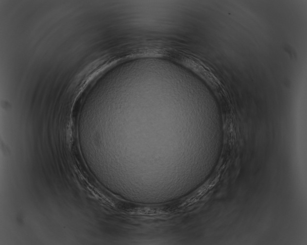 X0000090490338200708031151