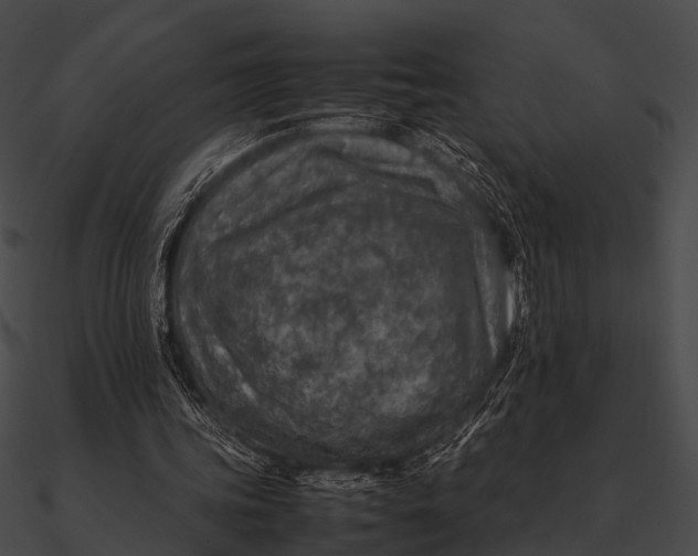 X0000090490339200708031151