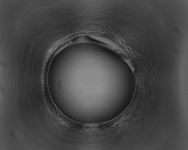 X0000090490340200708031151