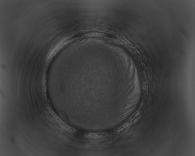 X0000090490341200708031151