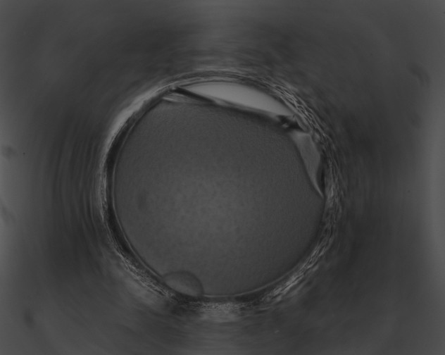 X0000090490342200708031151