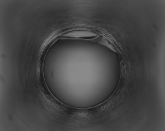 X0000090490344200708031151