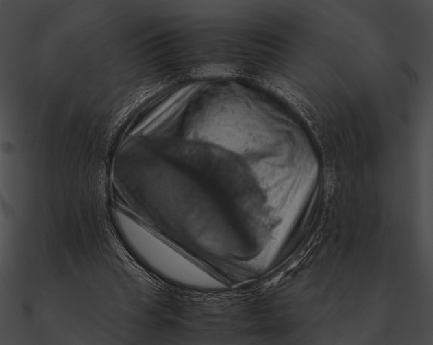 X0000090490345200708031151