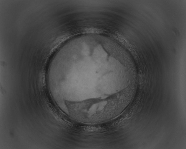 X0000090490347200708031151