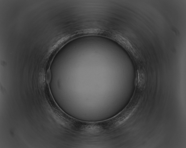 X0000090490348200708031151