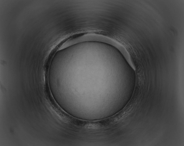 X0000090490350200708031151