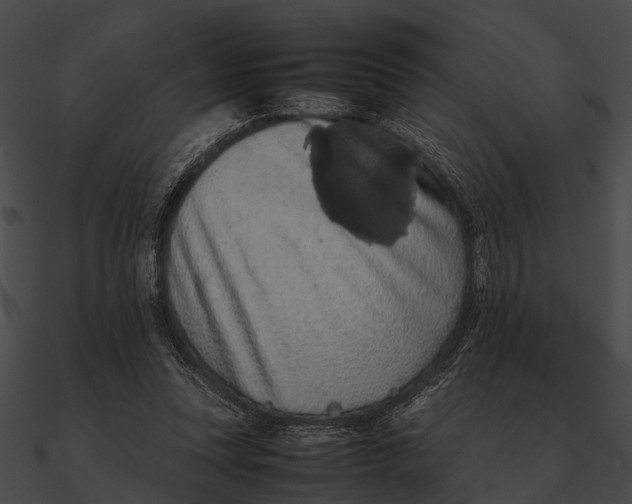 X0000090490351200708031151