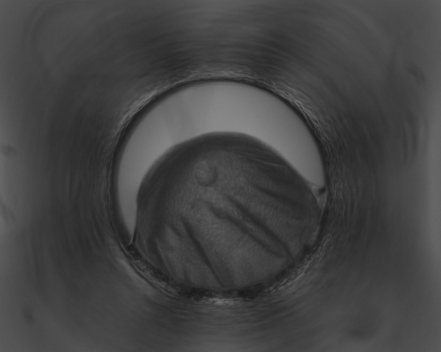 X0000090490352200708031151