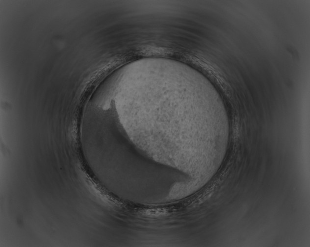 X0000090490353200708031151