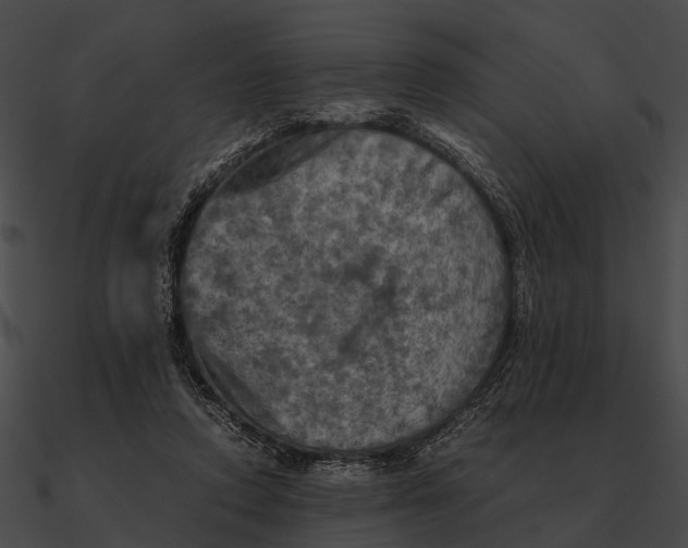 X0000090490354200708031151