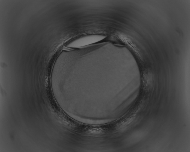 X0000090490355200708031151