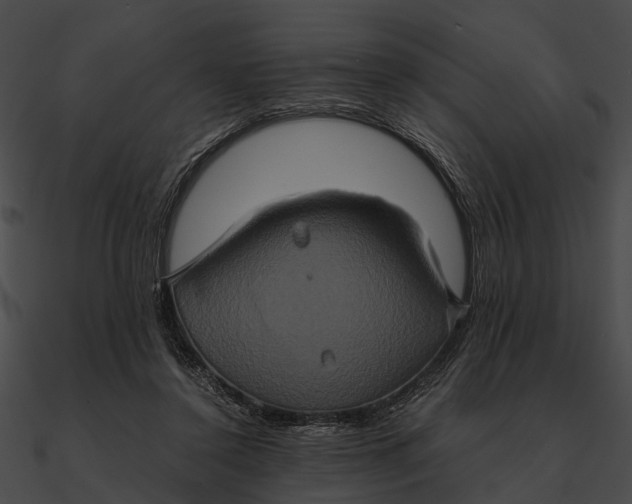 X0000090490356200708031151