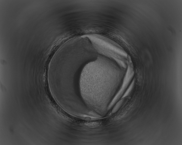 X0000090490357200708031151