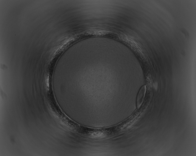 X0000090490358200708031151