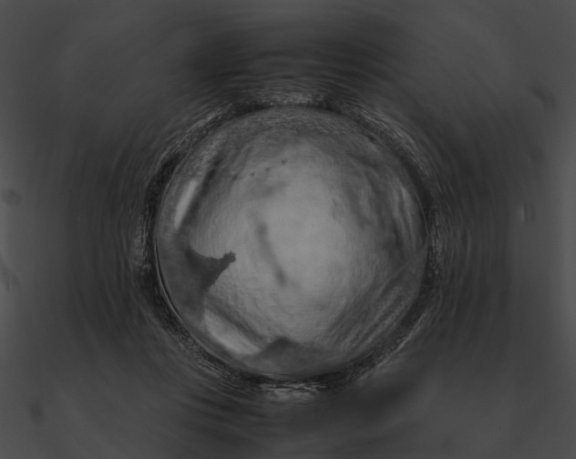 X0000090490359200708031151