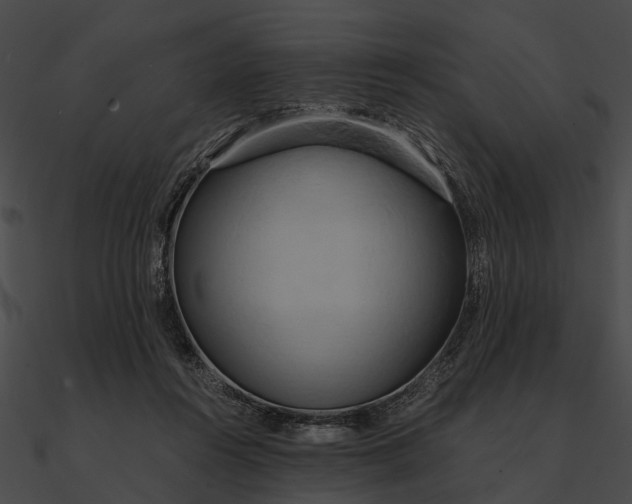 X0000090490360200708031151