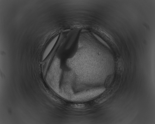 X0000090490361200708031151