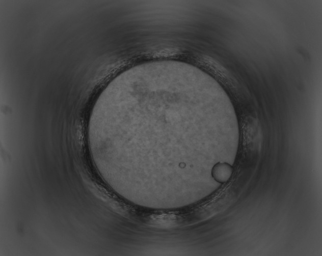 X0000090490362200708031151