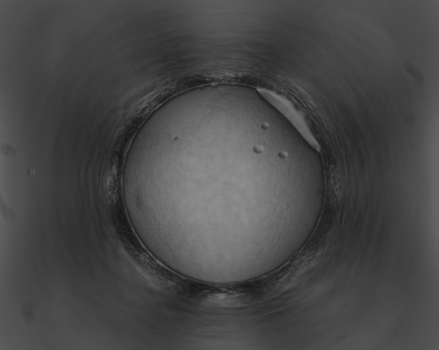 X0000090490364200708031151