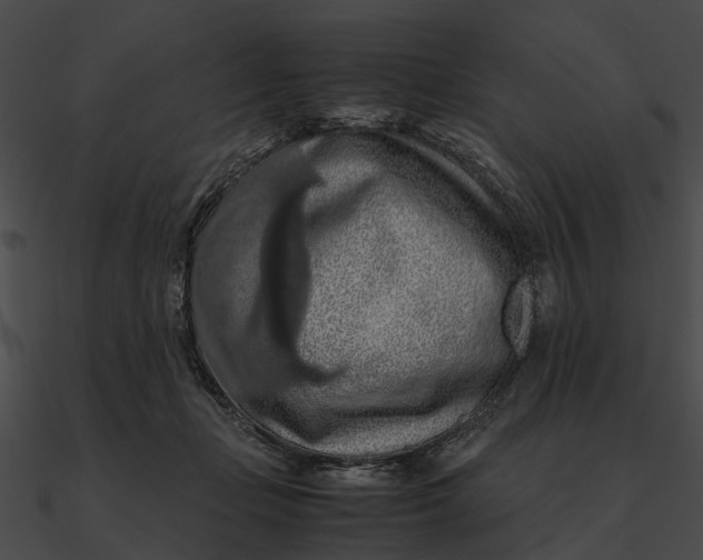 X0000090490365200708031151