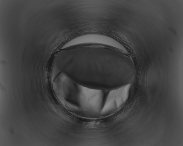 X0000090490366200708031151