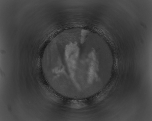 X0000090490367200708031151