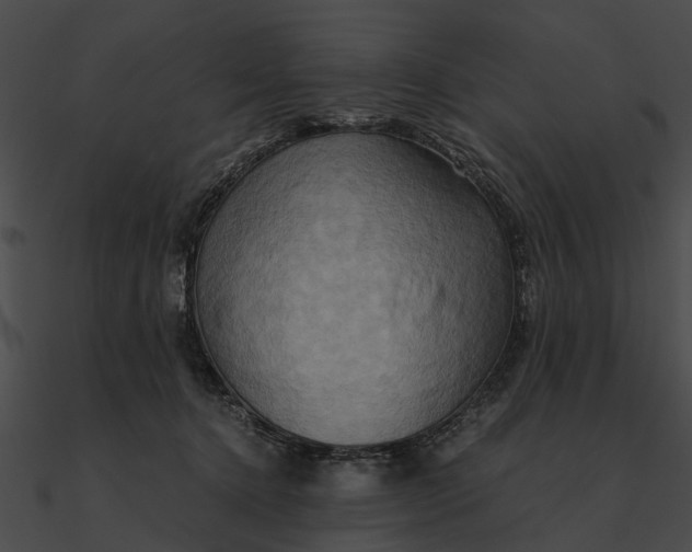 X0000090490368200708031151