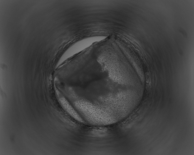 X0000090490369200708031152